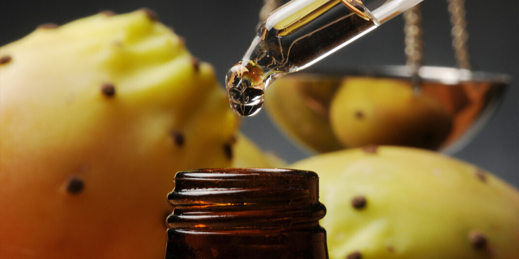 ethique produit everbiocosmetics