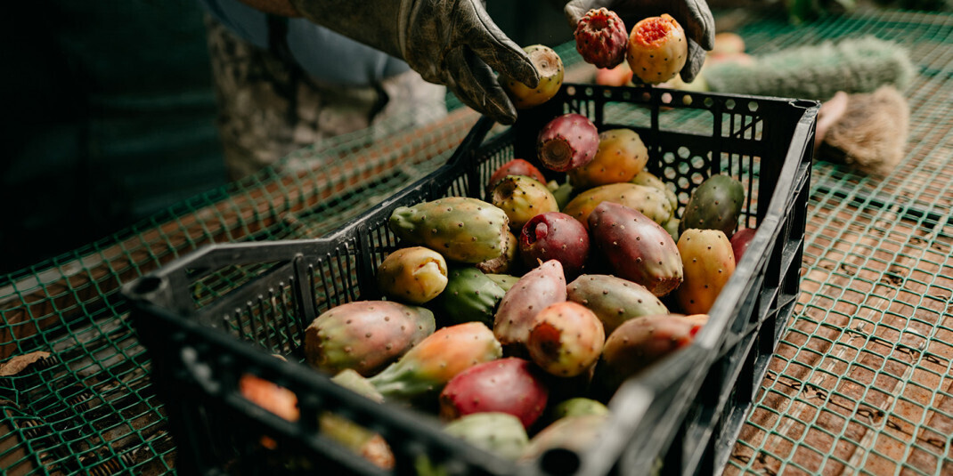 ethique travail everbiocosmetics