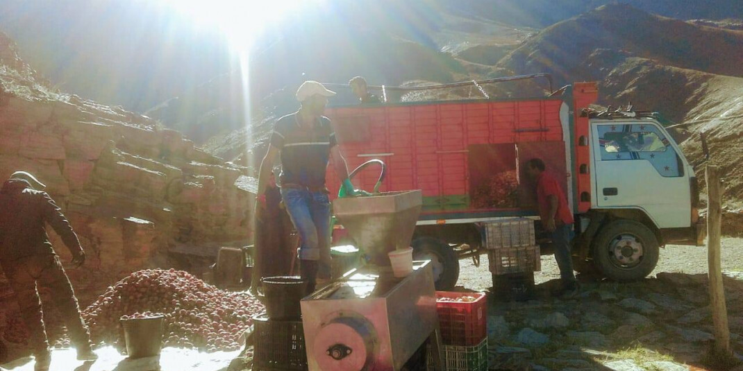 fabrication huile naturelle bio everbiocosmetics