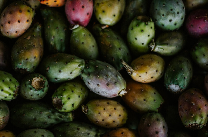 huile graines figue barbarie bio