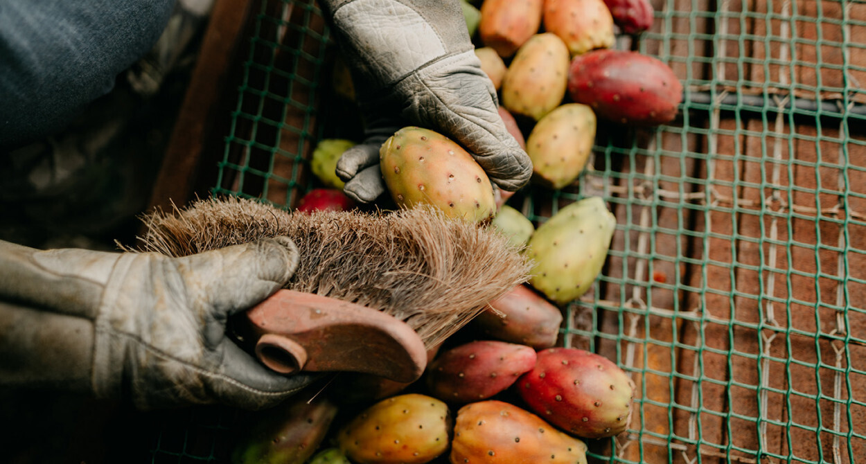 fabrication huile naturelle bio everbiocosmetics