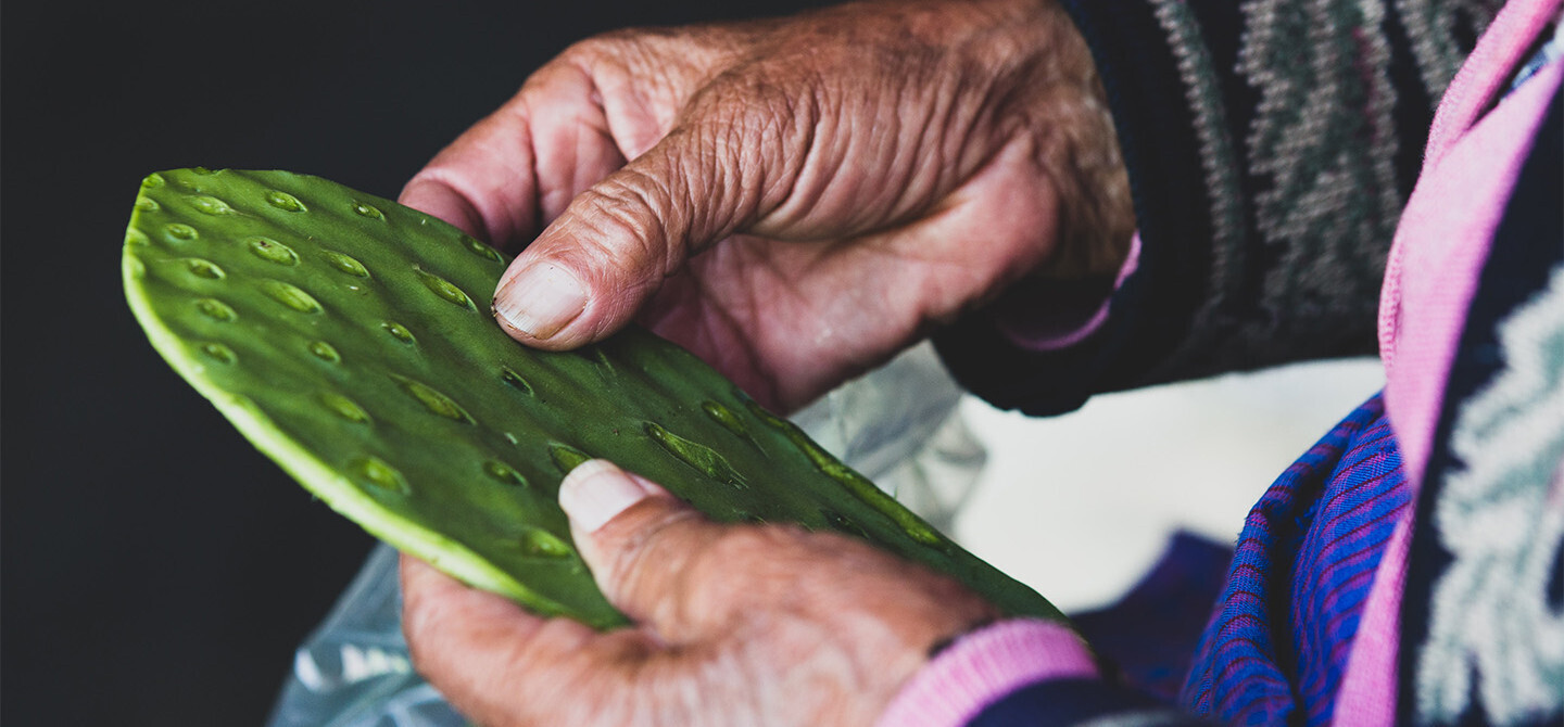 ethique everbiocosmetics