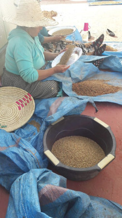 fabrication huile naturelle bio everbiocosmetics