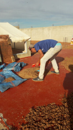 fabrication huile naturelle bio everbiocosmetics